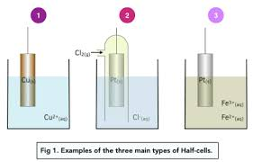 <p>An electrode used to establish how much reduction or oxidation os occuring</p><p>A metal electrode - A metal is placed in a soln containing its ions</p><p>Gas electrodes- Inert metal. gas and soln</p><p>Redox electrodes- Inert metal and two different aqueous ions</p><p></p><p></p>