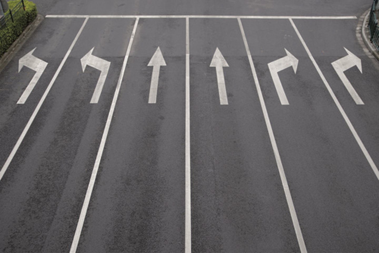 <p>lane</p>