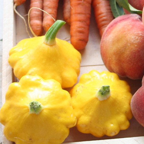 is flat with circular edges around. They are yellow - green - white in color, as pictured, sometimes with yellow and green. They have short green stems.