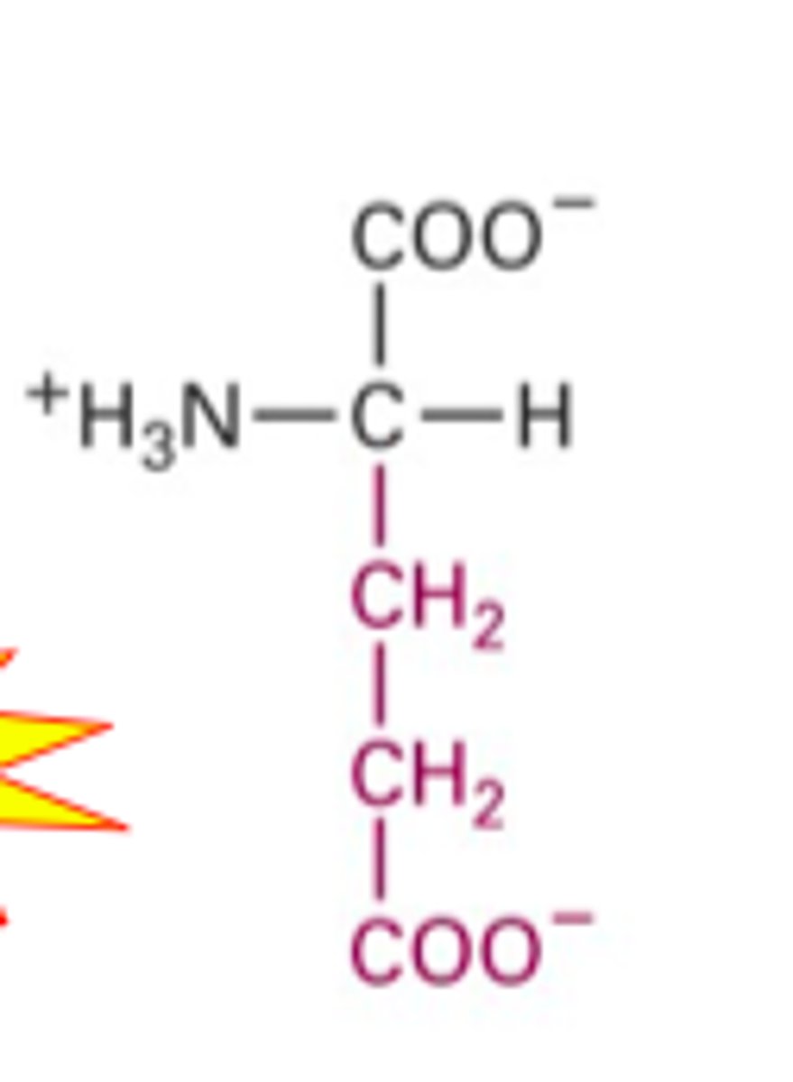 <p>What Structure is this?</p>