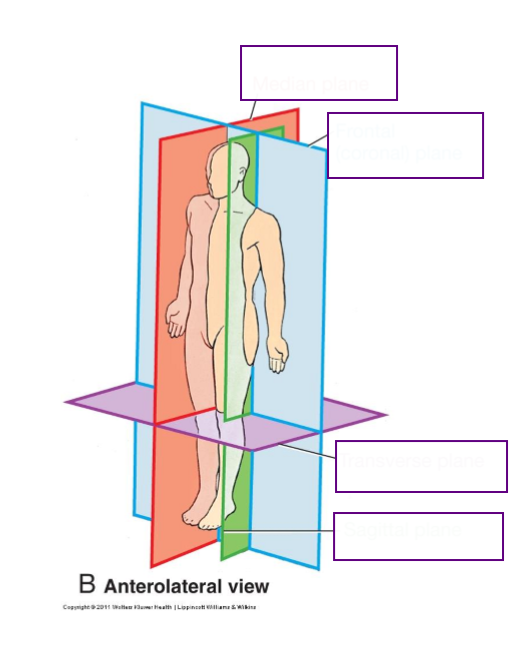 <p>Name Terminology</p>