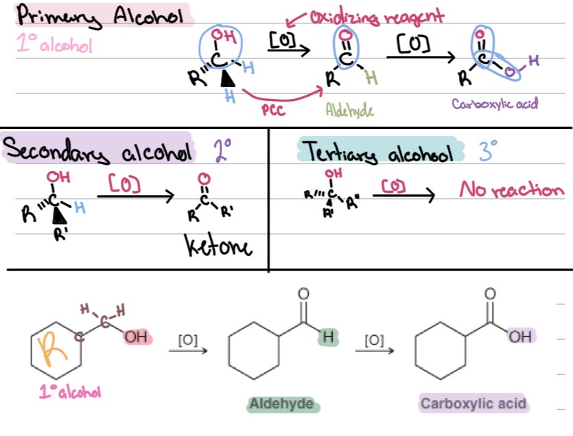 <ul><li><p>Oxidation of primary alcohols</p></li><li><p>Oxidation of secondary alcohols</p></li></ul><p></p>