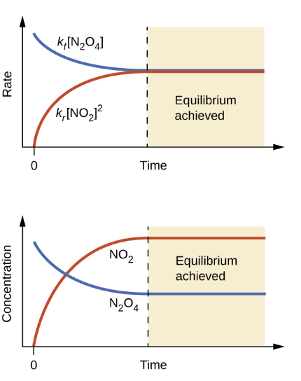 <ul><li><p>Balance between reactants and products in a chemical reaction</p></li></ul><p></p><p>2 Requirements:</p><ul><li><p>Rates of forward &amp; reverse reactions are equal</p></li><li><p>Concentrations of reactants &amp; products remain constant</p></li></ul><p></p><ul><li><p>It is <strong>Dynamic </strong>(Always occuring)</p></li></ul><p></p>