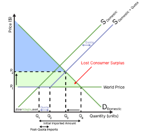 <ul><li><p>surplus is lost as prices increase</p></li><li><p>since the amount of imports decrease, there is less choice for consumers</p></li></ul><p></p>