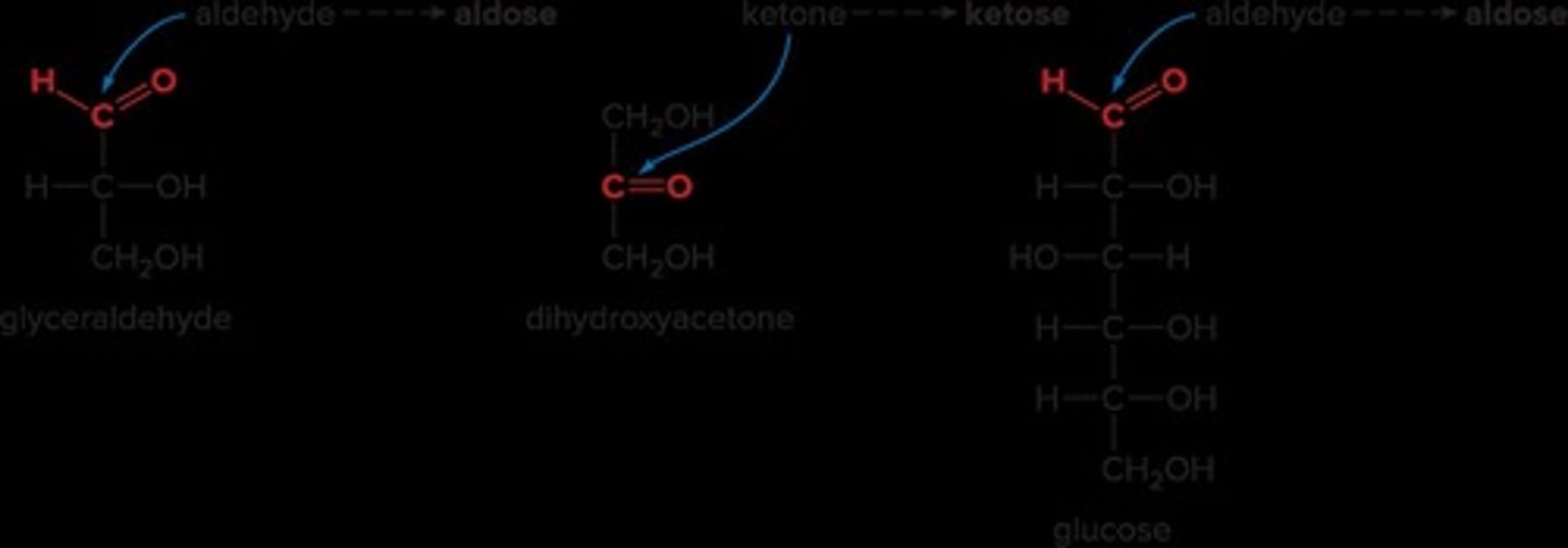 <p>Glyceraldehyde</p>
