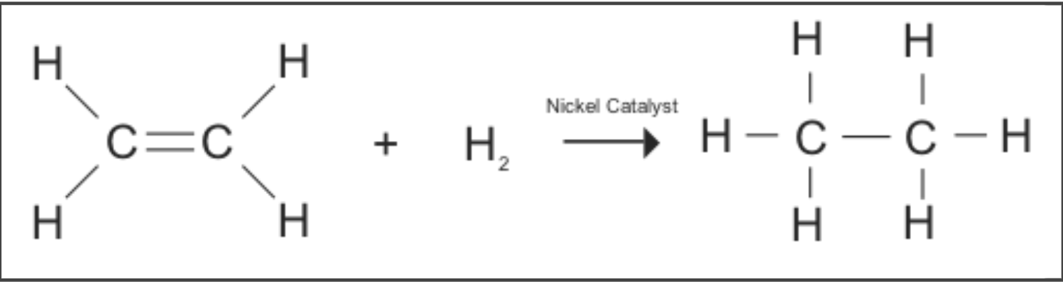 <p>Hydrogen reacts with alkenes to form alkanes in the presence of a nickel catalyst at 150C</p>