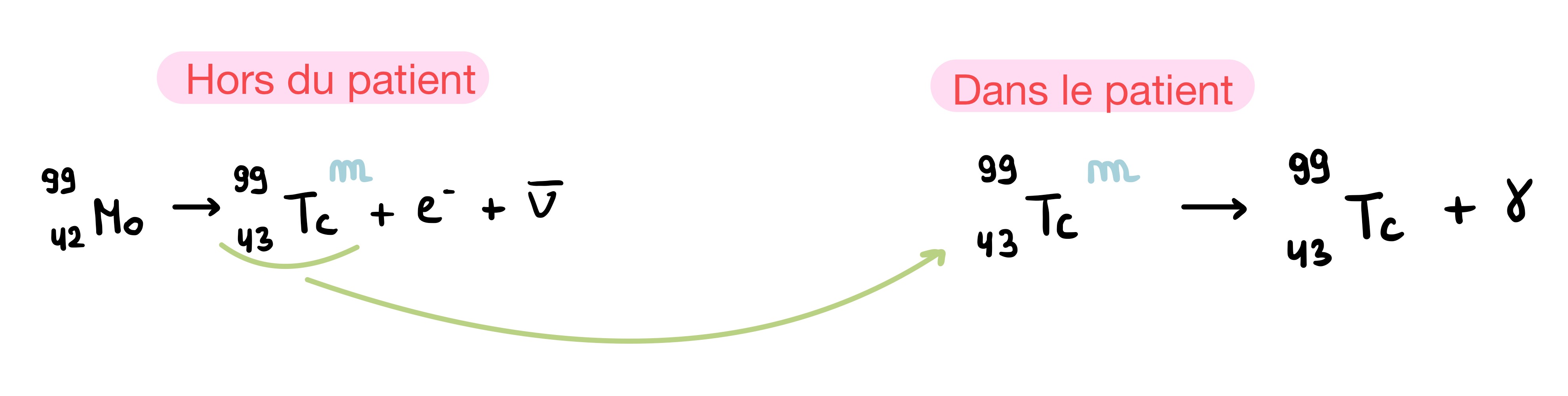 <p>Les réactions nucléaires de type <strong>β- γ</strong> s’eﬀectuent en cascade : certaines d’entre-elles génèrent des noyaux intermédiaires de très longue demi-vie suﬃsante</p><p>→ Ce noyau, qui peut demeurer dans un état excité pendant plusieurs heures avant d’émettre un rayonnement γ, se trouve d’un état « métastable ». Elle se déroule en 2 étapes :</p><p>1) Elle se déroule hors du patient (dans un générateur), générant un émetteur <strong>métastable</strong>.</p><p>2) Cet émétteur <strong>métastable </strong>est transmis au sein du patient et reste dans son état excité jusqu’au moment où il pourra émettre un rayonnement <strong>γ</strong>.</p>
