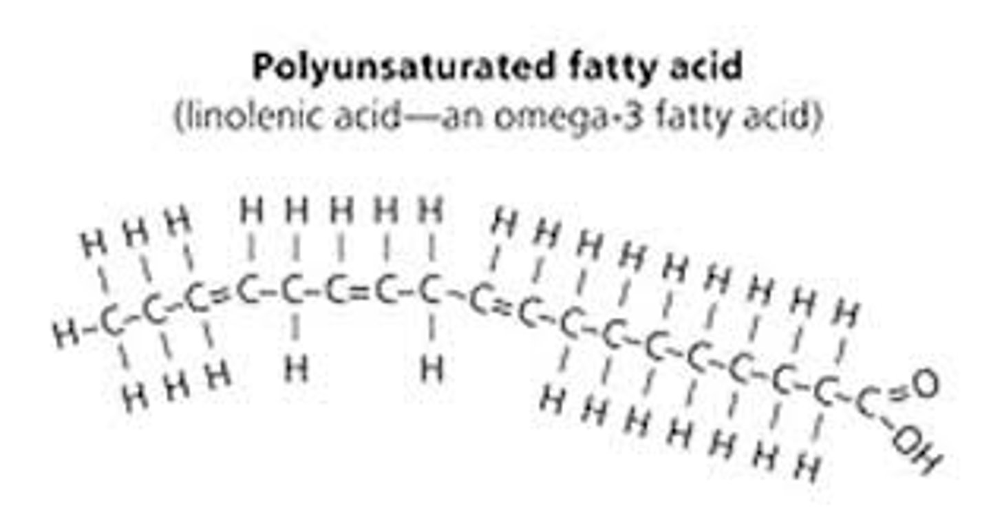<p>liquid (ex. oils), plant fats</p>