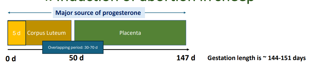 <p>CL - 0-50d</p><p>Placenta - 50d-147d</p><p></p><p>Overlapping period: 30-70d</p>