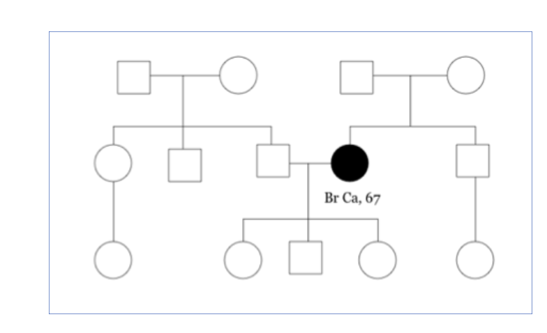<ol><li><p>few affected fam members</p></li><li><p>onset late in life</p></li></ol><p></p>
