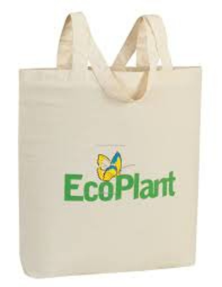 <p>Полотняна сумка / Шопер</p><p>A large, sturdy bag with parallel handles, made from canvas fabric.</p><p>She carried her groceries home in a reusable ______.</p><p>He packed his beach towel, sunscreen, and a book into his ______.</p><p>The artist screen-printed her original design onto a plain ______.</p>