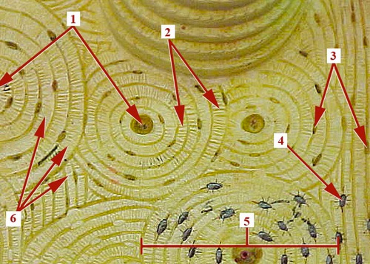 <p>#4</p>