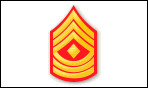 <p>E-8: 3 Chevrons, 3 Rockers, Diamond</p>