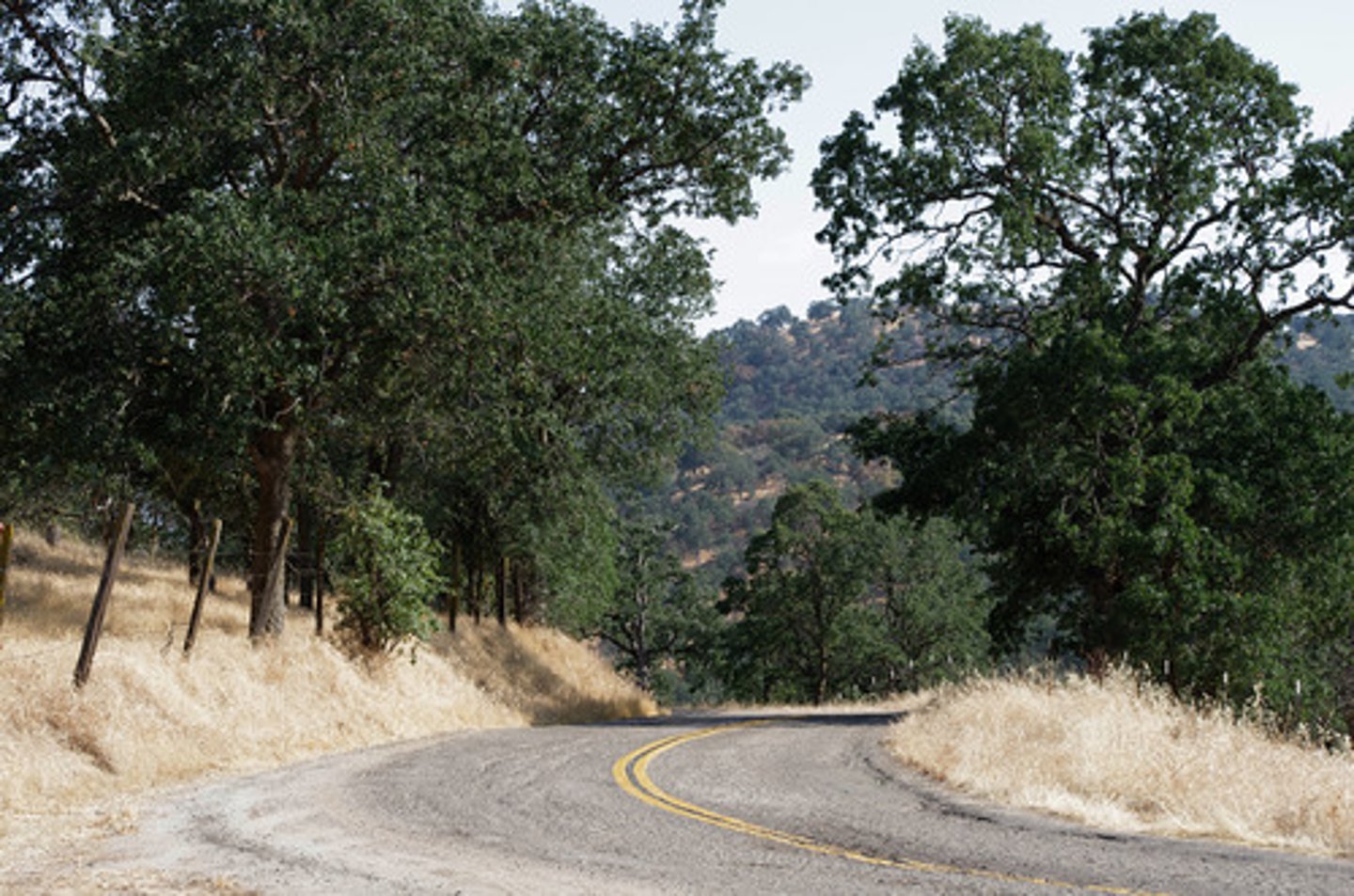 <p>Between 30 and 45 degrees north in latitude.</p><p>Small, drought resistant, vegetation (Thorny bushes, shrubs and small trees). Summers are warm/hot and dry. Winters are mild/cold and wet. 300-1000mm rainfall per year. Intensive viticulture. Pastoral farming is rare due to sparse grass and shallow grass roots. Farming is currently reliable, and food security is good.</p>