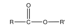 <p>What is this functional group? </p>