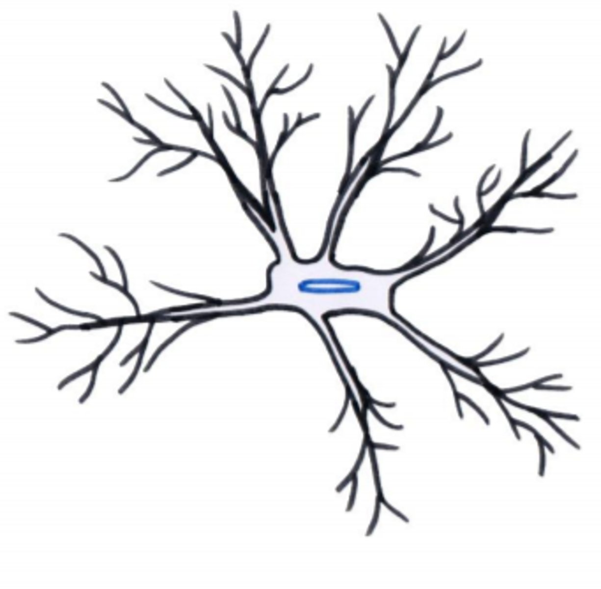 <p>Microgliacellen</p>