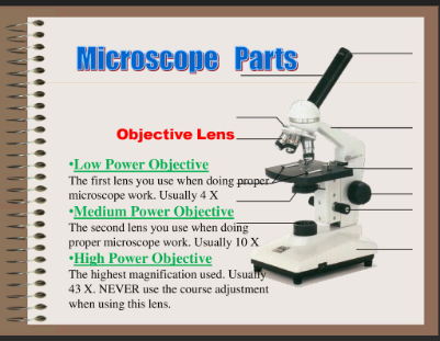 <p>lens to magnify object being looked at </p>