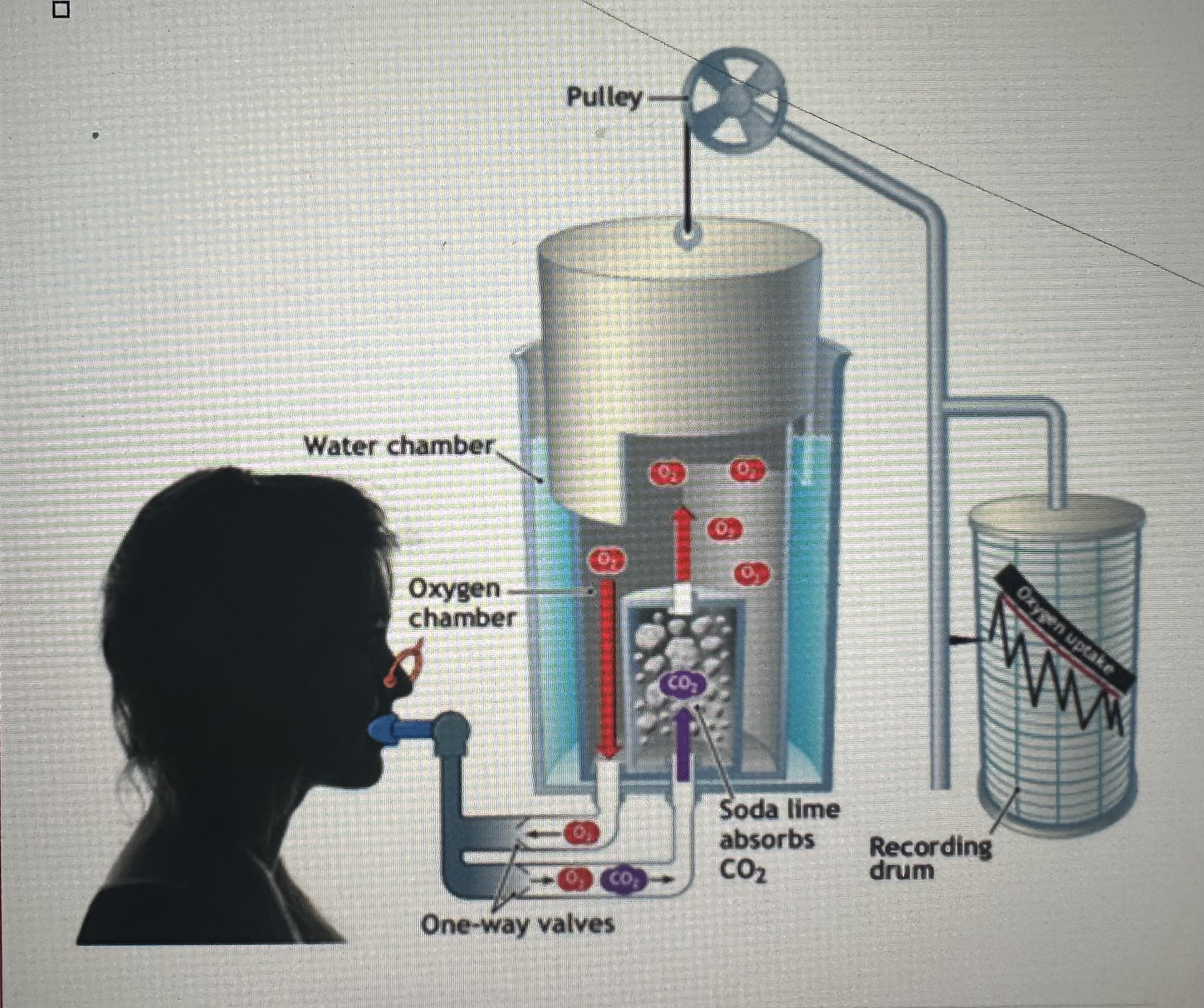 <p>Closed circuit spirometer shown here measures what? </p>