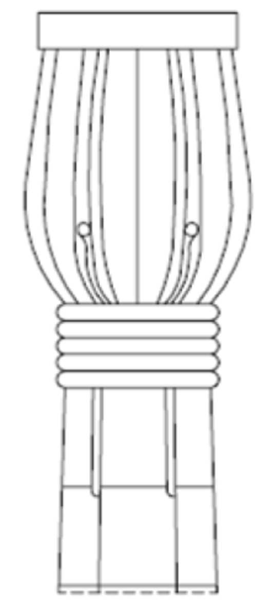 <p>What is this type of capital?</p>