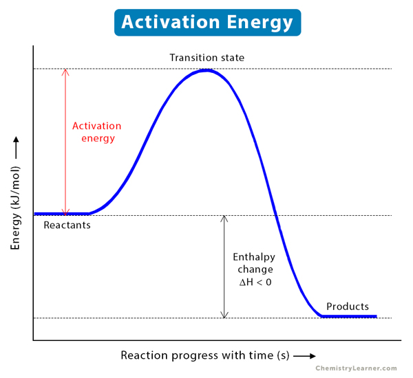 <p>amount of energy needed to start a reaction</p>