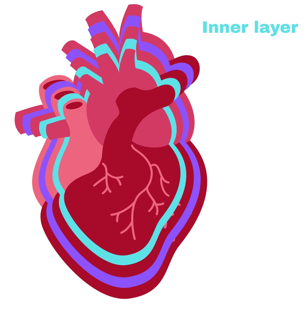 <p>Visceral Pericardium</p>