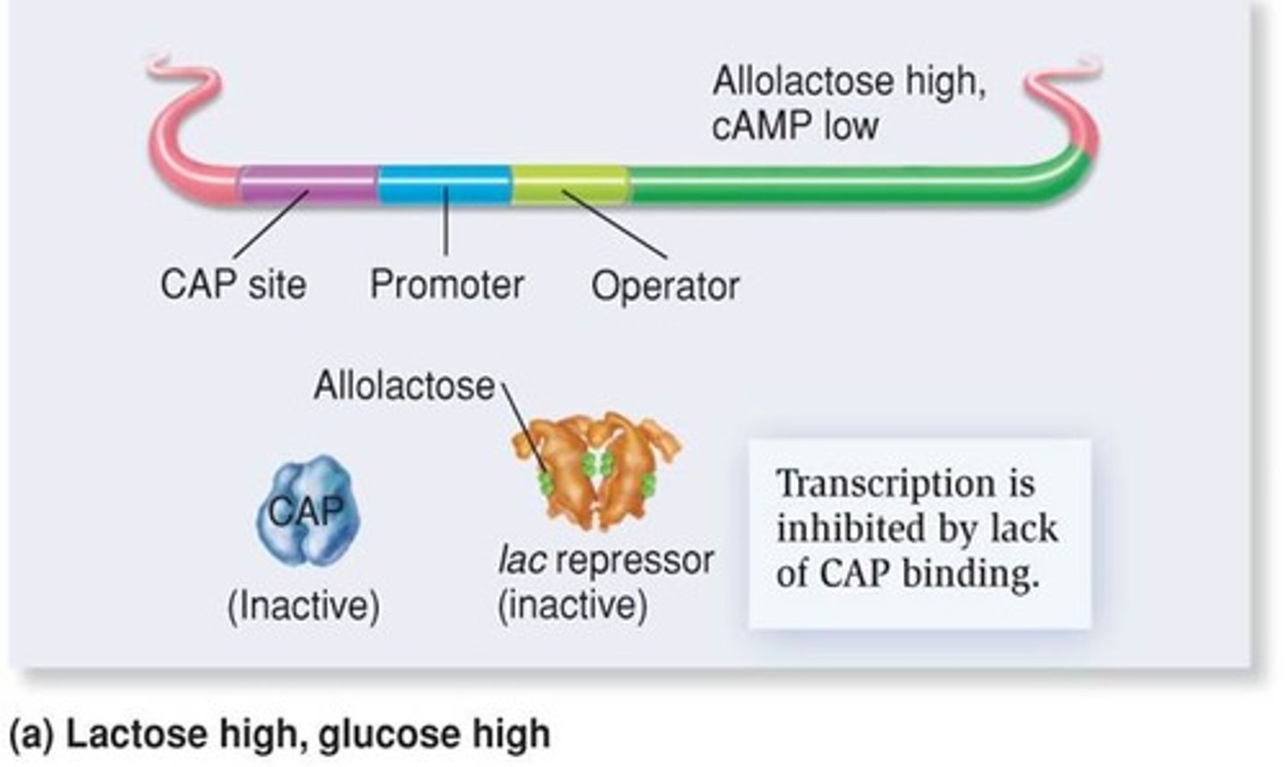 <p>Treatment with known response</p>