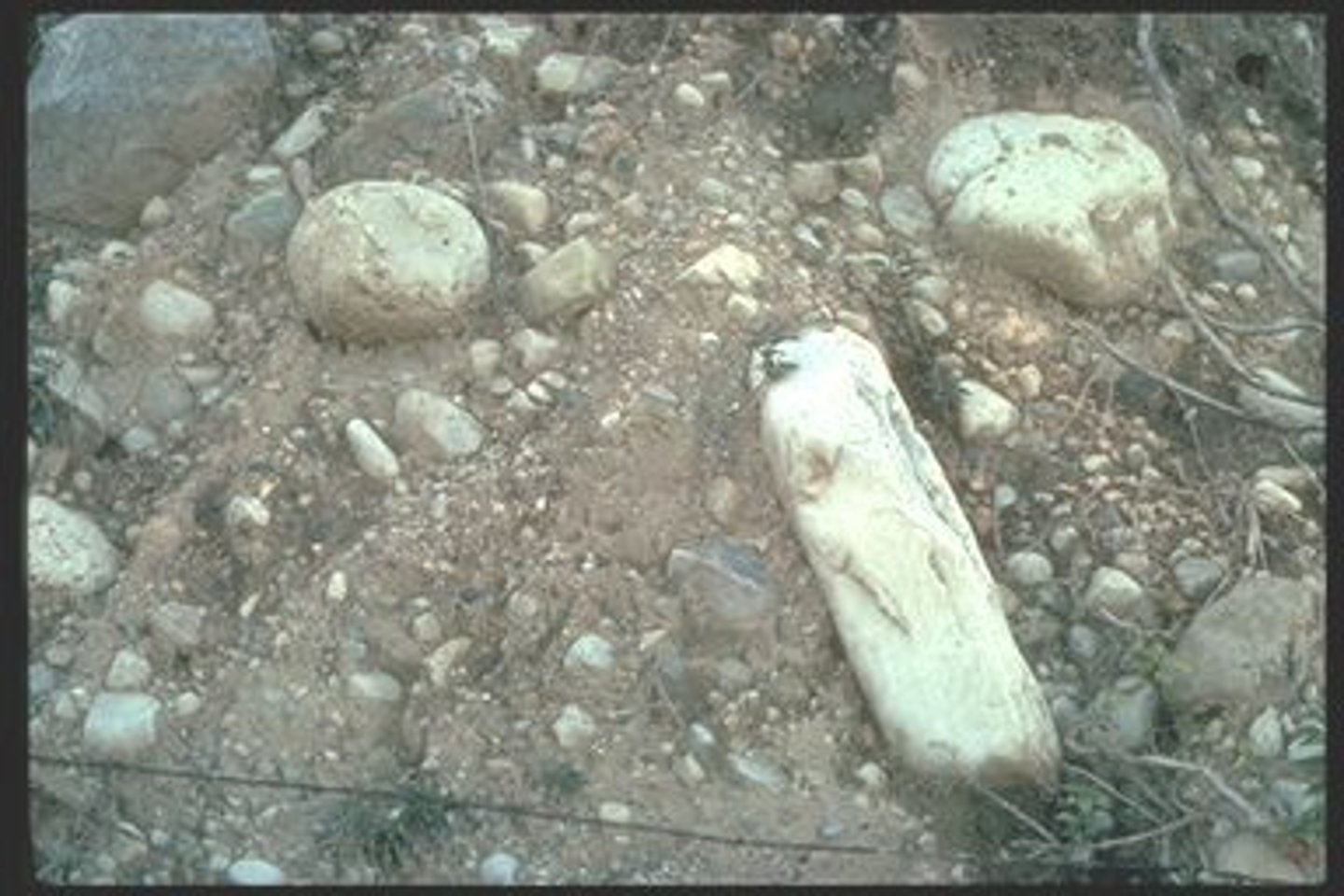 <p>Sediment deposited by a glacier</p>