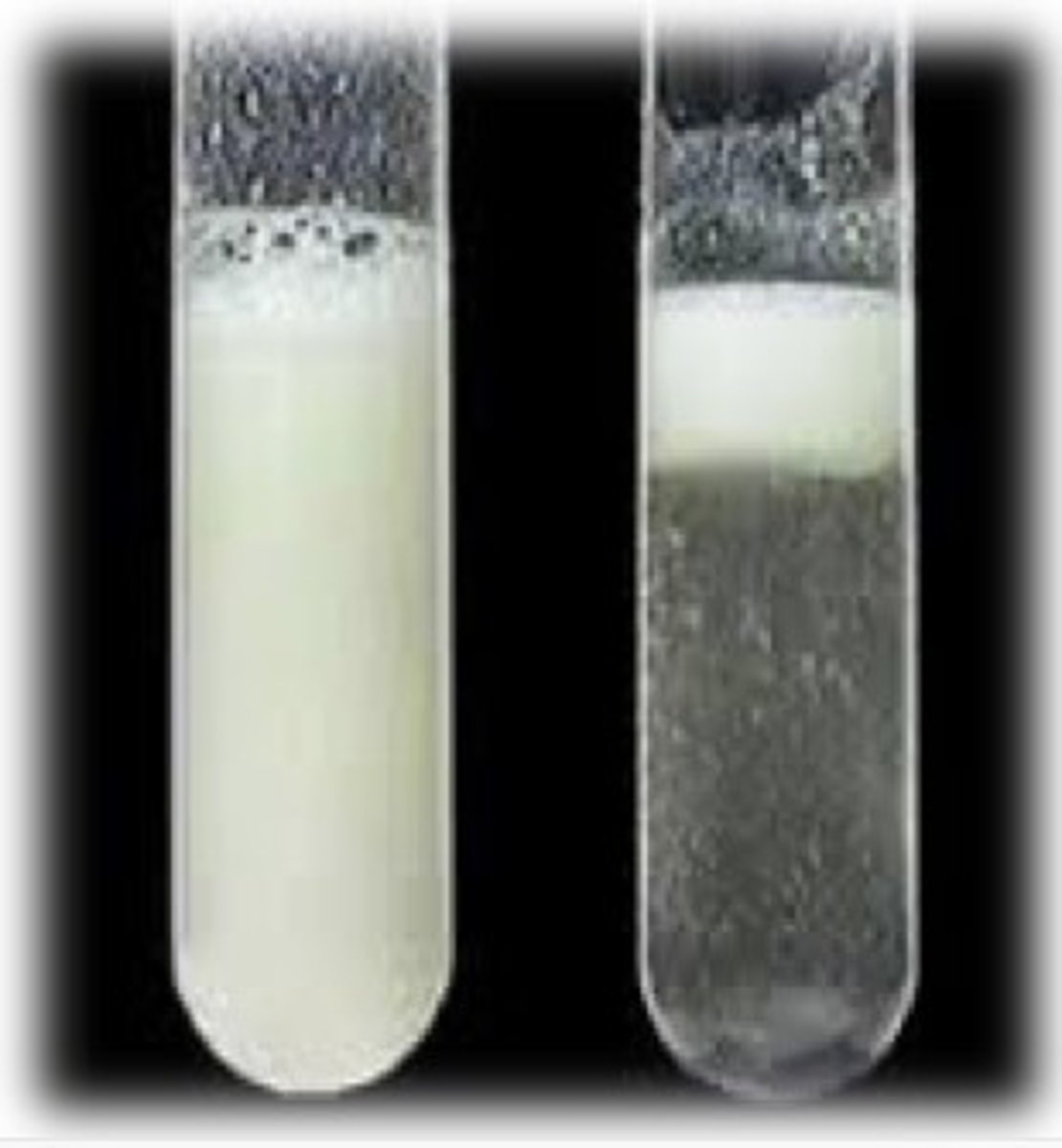 <p>1) Add a few drops of ethanol</p><p>2) Shake</p><p>3) Pour over water</p><p>4) If lipids are present, you will get a white emulsion</p>