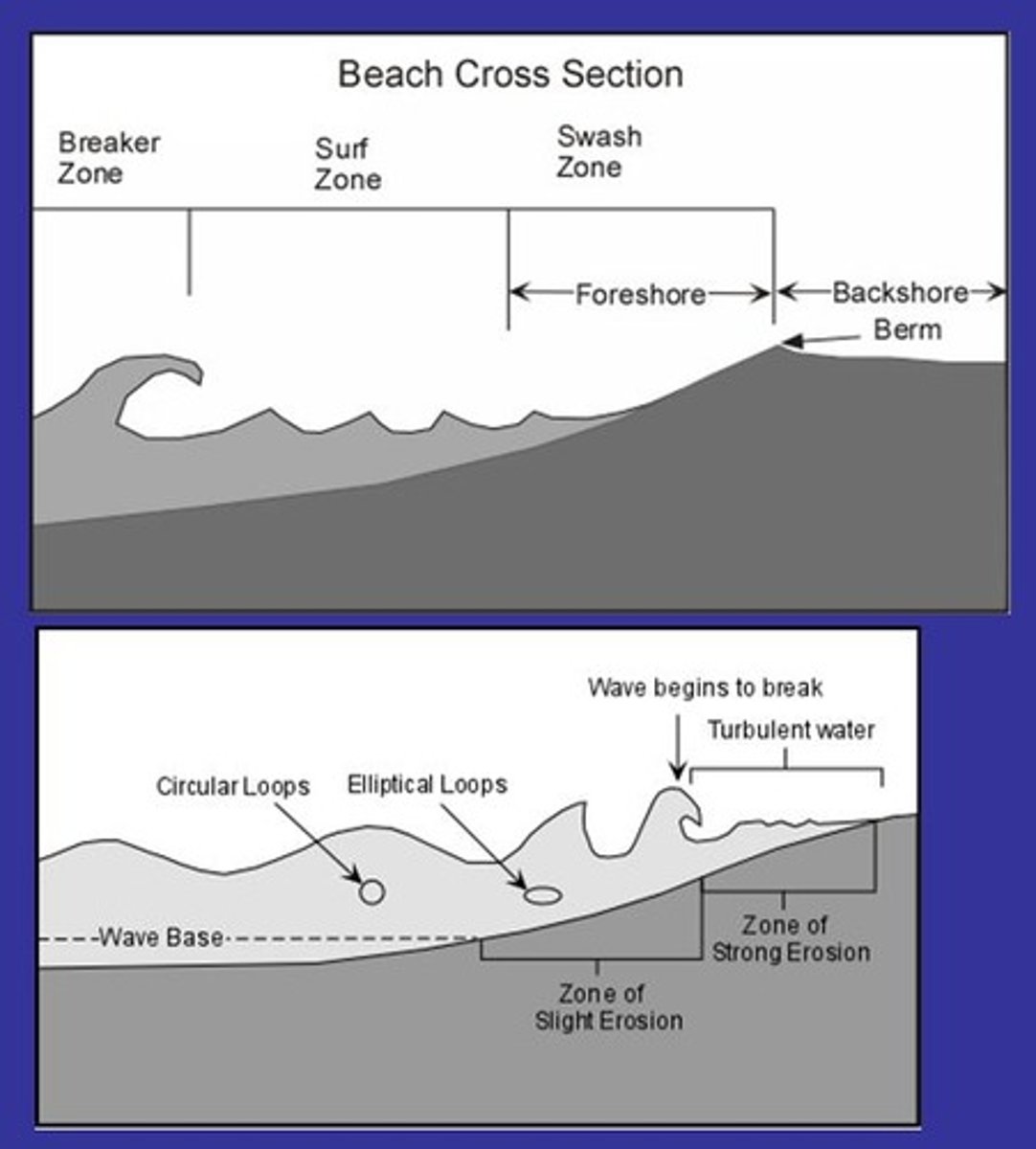 <p>Friction with the seabed increases and the base of the wave begins to slow down. This has the effect of increasing the height and steepness of the wave until the upper part plunges and the wave 'breaks' onto the shore.</p>