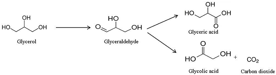 <p>Glyceraldehyde and glycerol</p>