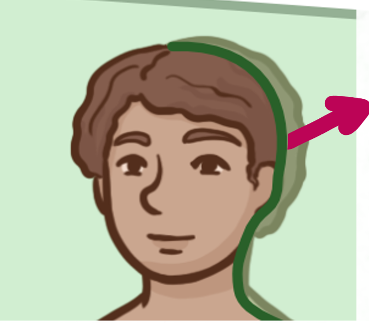 <p>Which brain-body orientation is this</p>