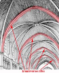 <p>the skeleton of pointed arches that support the ceiling (typical of romanesque and gothic era)</p>