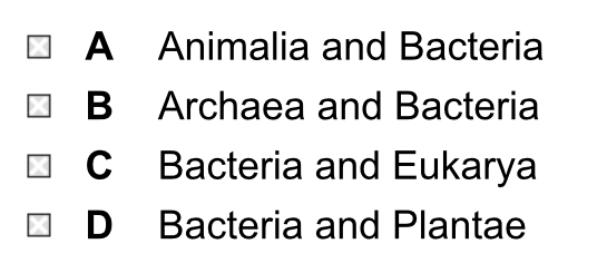 <p>What are the two domains that contain prokaryotic cells?</p>