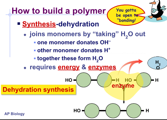 <p>How do you build a polymer?</p>