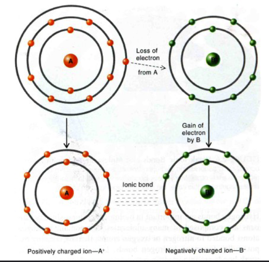 <p>A weak bond formed between oppositely charged ions through electrostatic attraction.</p>