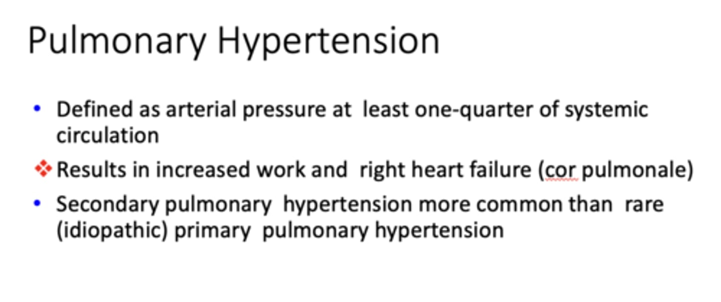 <p>Pulmonary Hypertension</p>