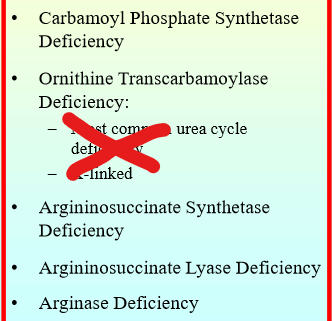 <ul><li><p>arginase</p></li><li><p>argininosuccinate lyase</p></li><li><p>argininosuccinate synthetase</p></li><li><p>ornithine transcarbamoylase</p></li><li><p>carbamoyl phosphate synthetase I (CPSI)</p></li></ul><p>FYI: a deficiency in any of these enzymes results in high ammonia</p><p></p>