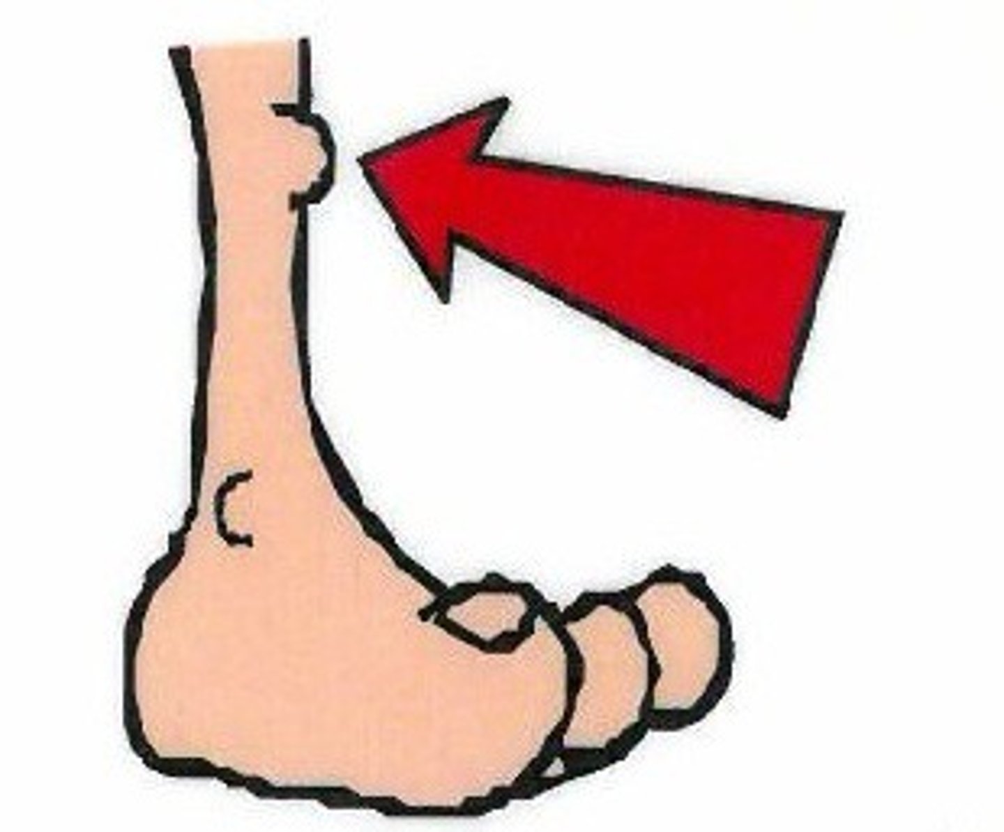 <p>knee</p>