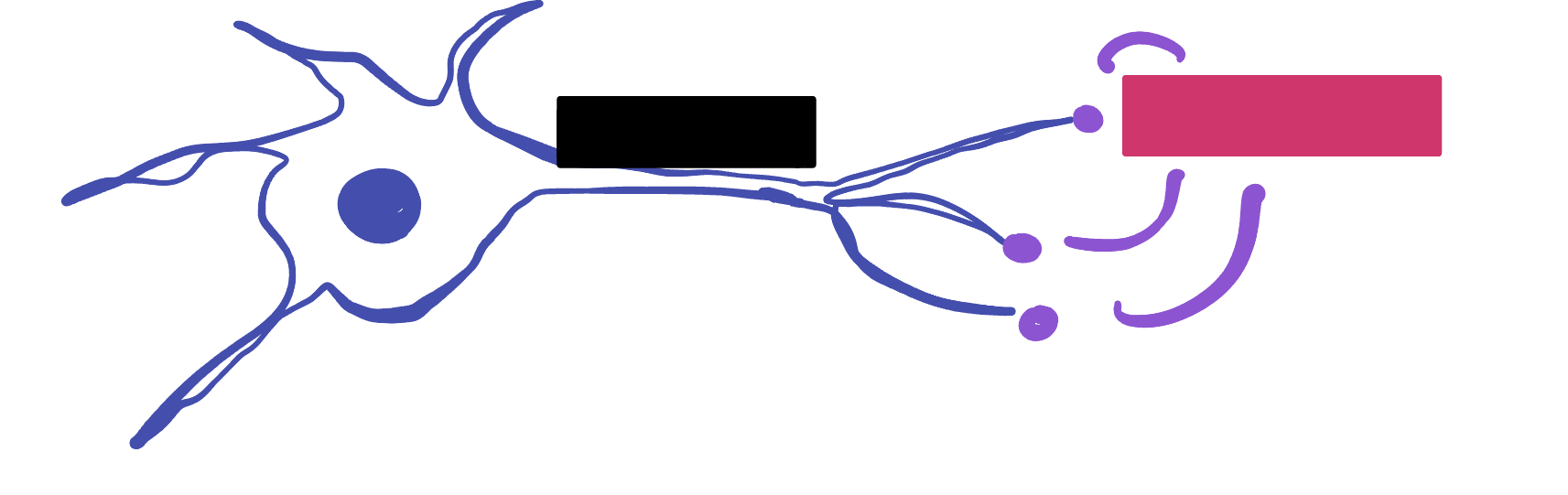 <p>Which color is likely covering the label for&nbsp;“terminal”?</p>