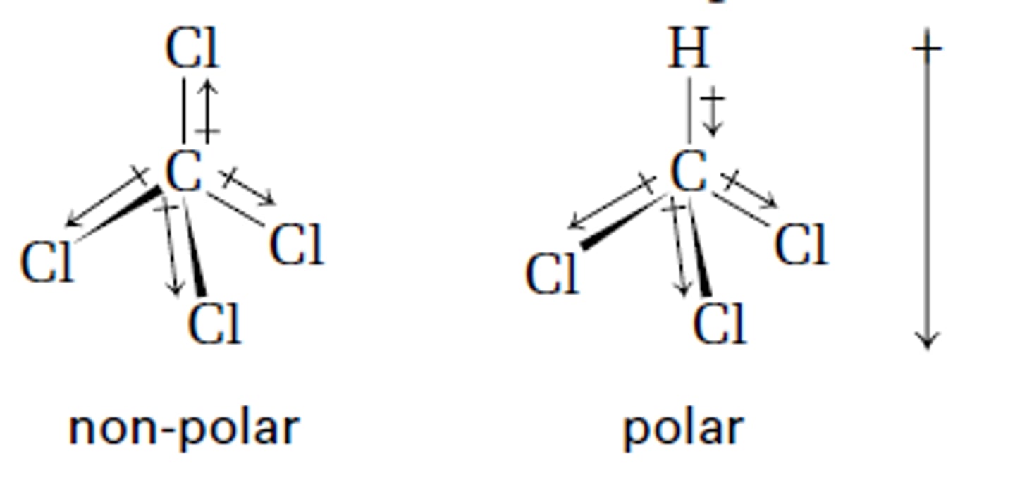 <p>CCl4 is non-polar due to its symetrical structure.</p><p>CHCl3 is polar due to its non-symetrical structure.</p>