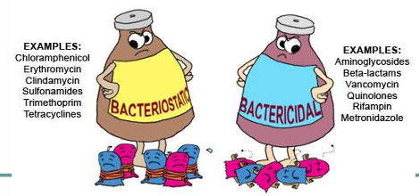<ol><li><p><strong>bacteriostatic</strong> (stops growth of bacteria)</p><ul><li><p>ex. tetracyclines, macrolides, amphenicols</p></li></ul></li><li><p class="has-focus"><strong>bactericidal</strong> (kills bacteria)</p><ul><li><p class="has-focus">ex. beta lactams, polypeptides</p></li></ul></li></ol><p></p>