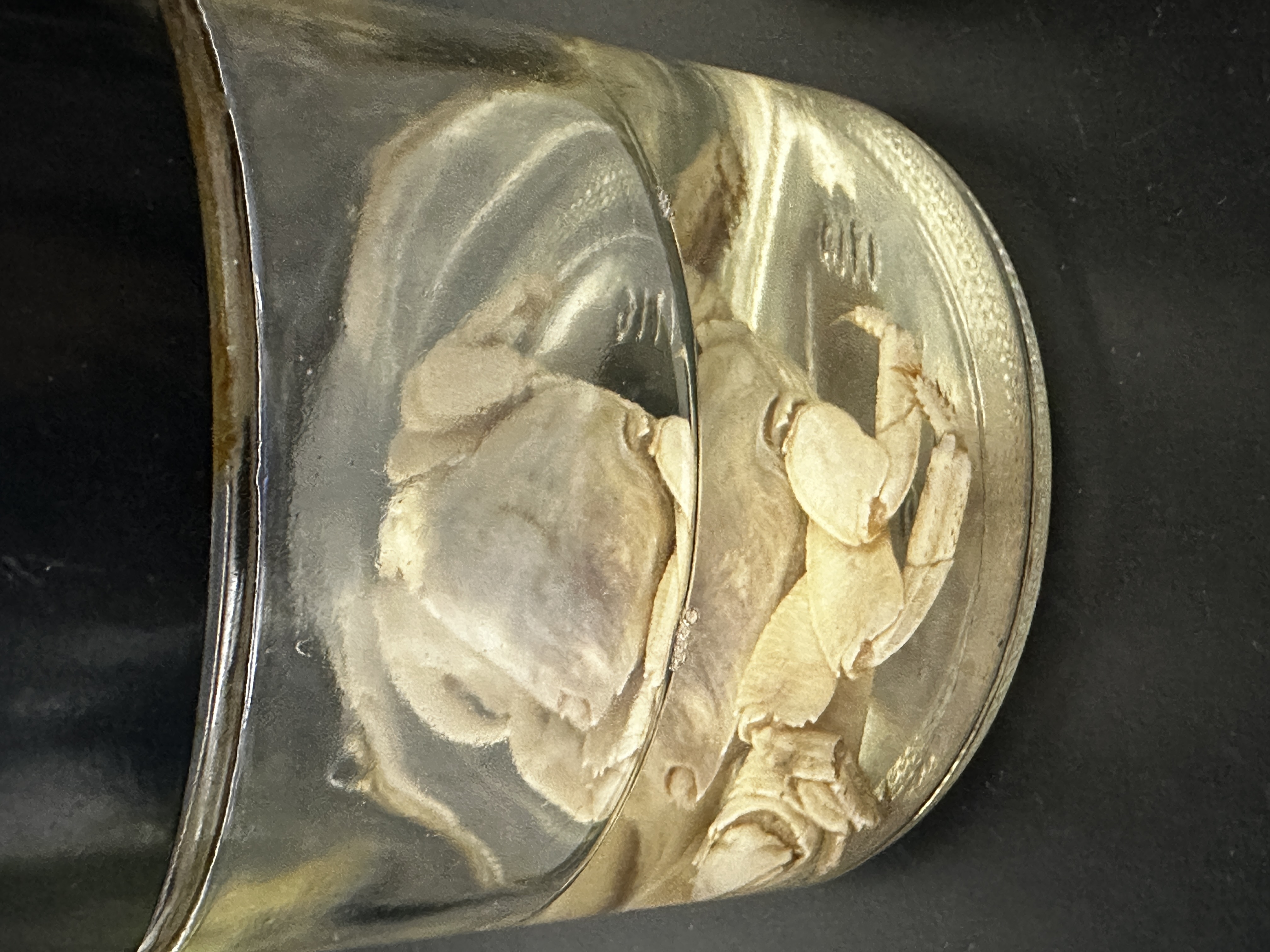 <p>Identify (Grouping(s), Phylum, Subphylum)</p>