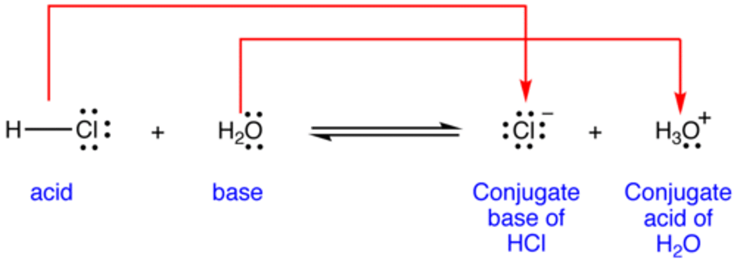 <p>are overlapping P orbitals</p><p>Double bonds either cis or trans</p>