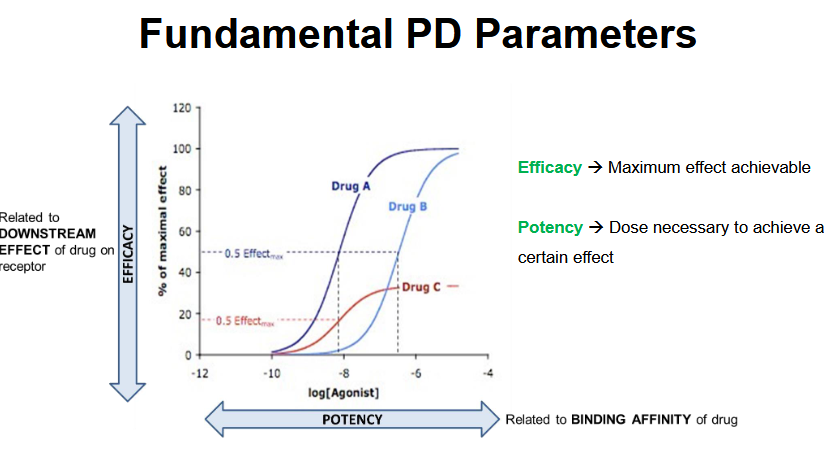 <p>Between Drug A and Drug B, which drug is more potent?</p>