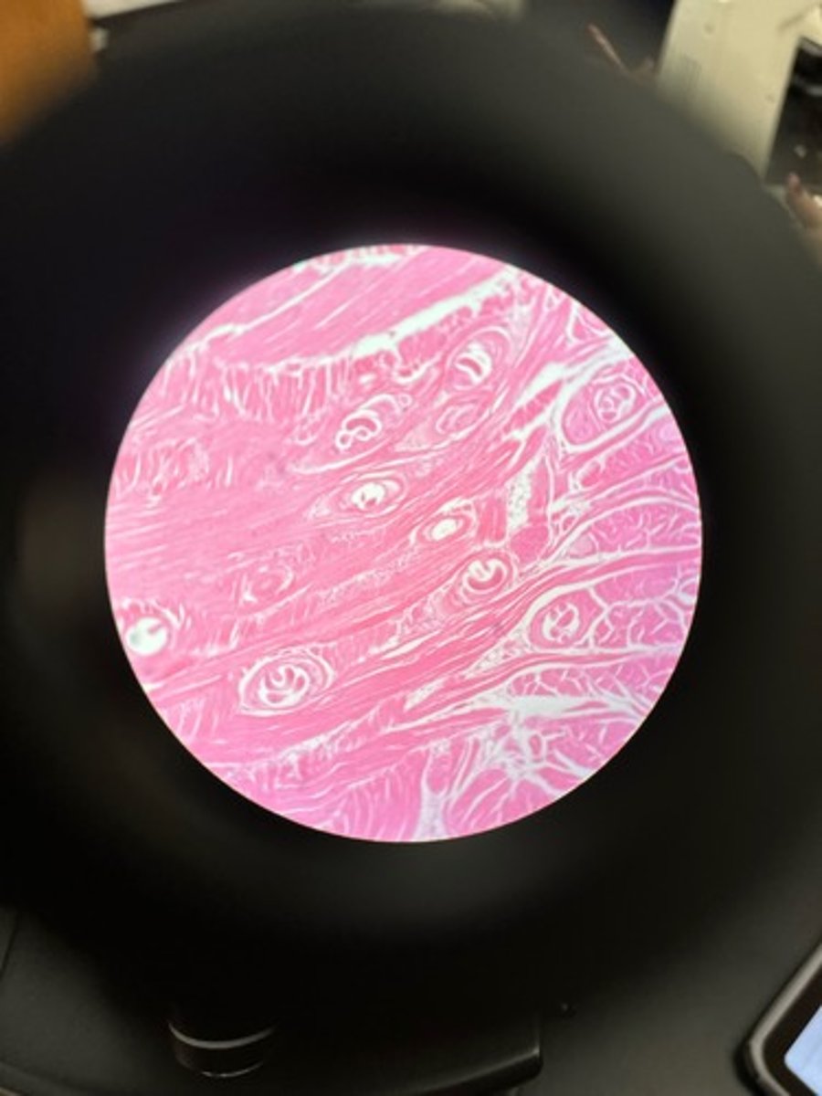 <p>What is this?</p>
