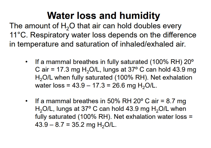 <ul><li><p><strong>Key Concept</strong>: The maximum amount of water vapor ($$H_2O$$) that air can hold increases exponentially with temperature. Warmer air can hold significantly more moisture.</p></li><li><p>Water capacity doubles for every $$11^ ext{o}C$$ increase in temperature.</p></li><li><p><strong>Respiratory Water Loss</strong>: Depends on temperature and saturation differences between inhaled and exhaled air. Animals must humidify inhaled air to nearly 100% relative humidity before it reaches the lungs.</p></li></ul><p></p>
