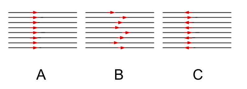 <p>Which diagram represents skew?</p>