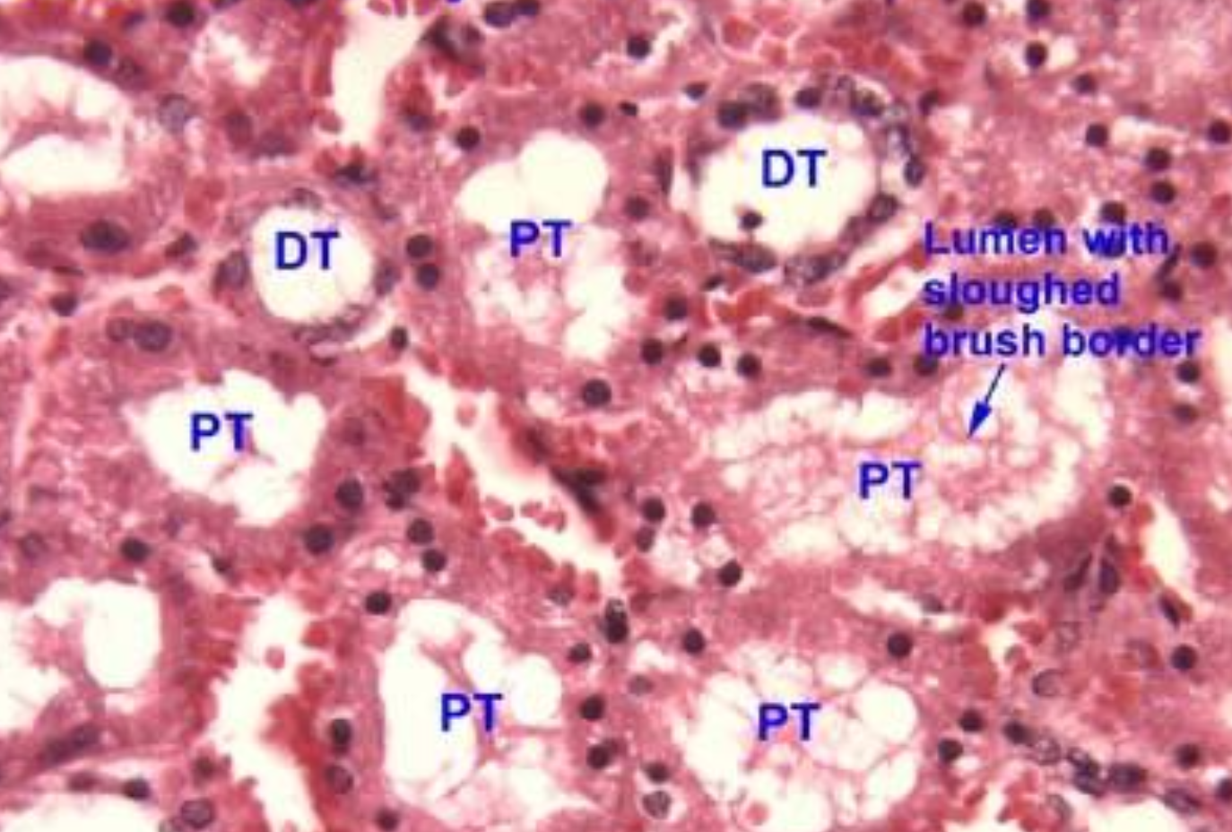 <p>ID the image</p>