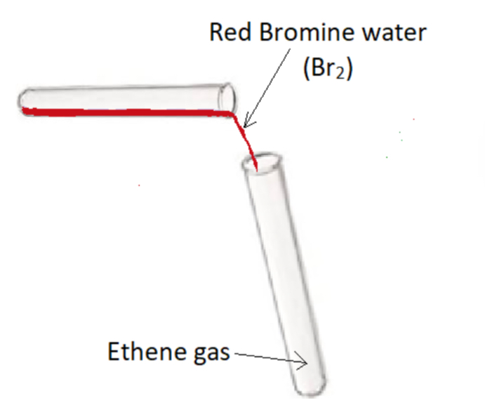 <p>Procedure:</p><p>- Add red bromine water to a test tube of ethene gas, stopper and shake</p><p>Result: <strong>Red bromine water turns colourless</strong> – ethene is unsaturated</p>