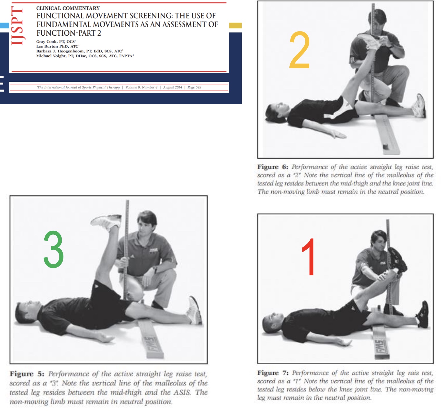 <p><strong>-Purpose:</strong> Assess active hamstring/gastrocnemius flexibility while maintaining pelvic control</p><p><strong>-Key Observations:</strong> Hip mobility <em>independent</em> of pelvic motion</p><p><strong>-Common Compensations:</strong> Contralateral leg movement or pelvic tilt. Limited range of motion.</p>